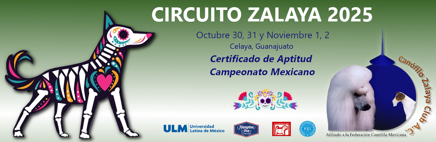 Circuito Zalaya 2025 - 1